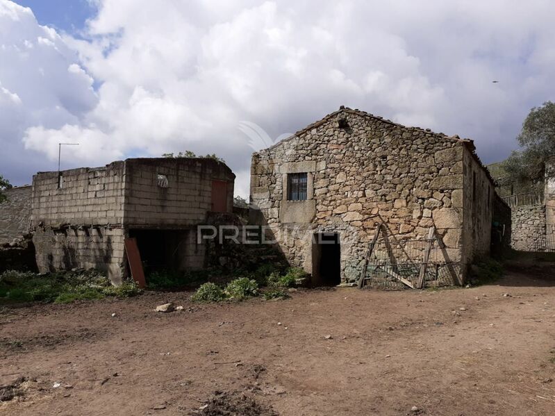 Quinta com casa V6 Trancoso - palheiro, água, árvores de fruto, bons acessos, excelente localização