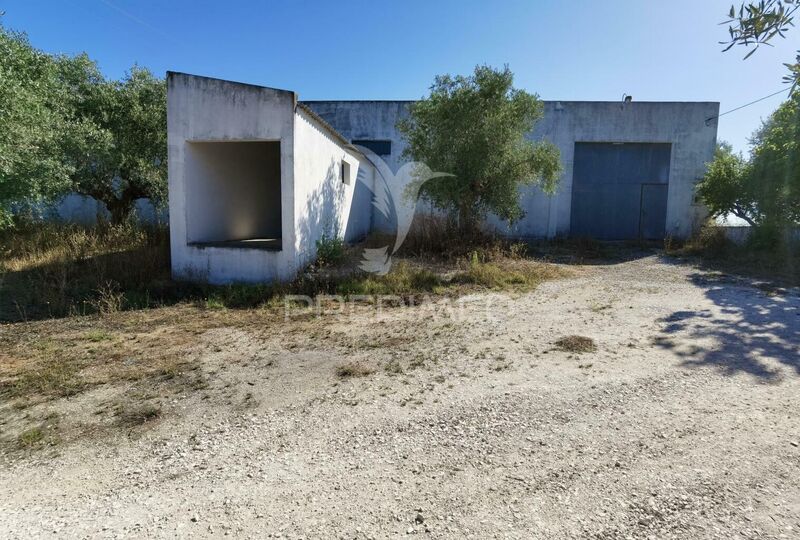 Warehouse with 360sqm Santarém