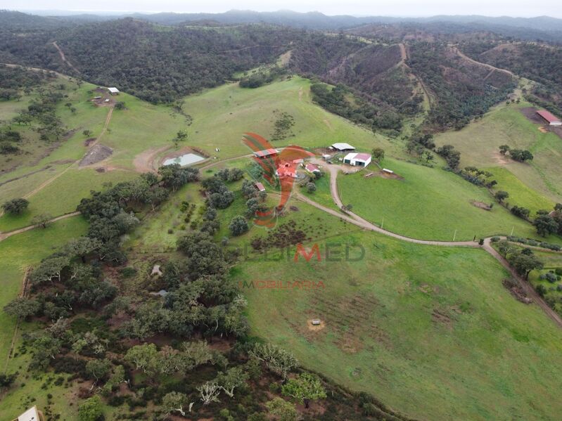 Homestead V2 Colos Odemira - water, cork oaks, water hole, electricity, well, fruit trees