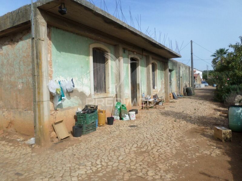 Quinta para recuperar V0 Mexilhoeira Grande Portimão - palheiro, água, pessegueiros, cultura arvense, arrecadação