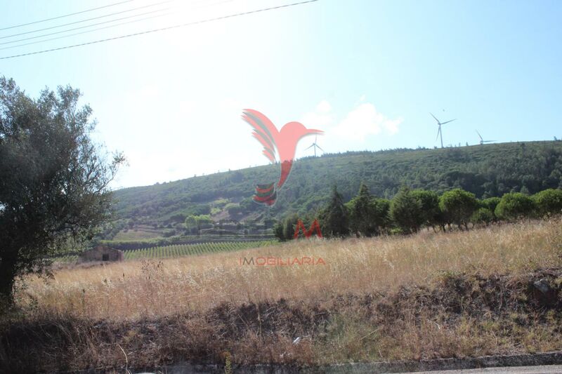 Plot of land with 9941.28sqm Rio Maior - easy access