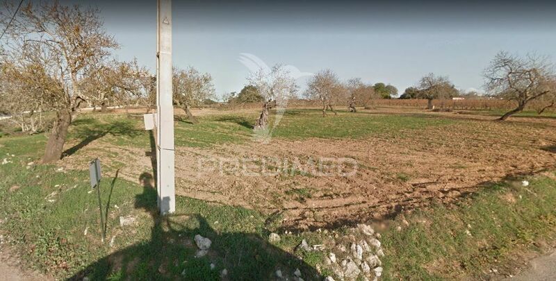 Farm Guia Albufeira - , ,