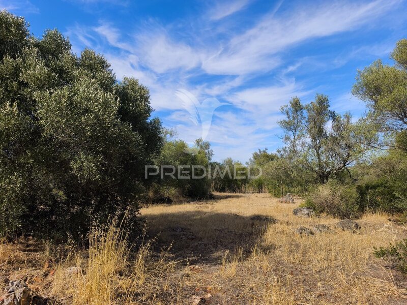 Land Rustic with 6840sqm Paderne Albufeira