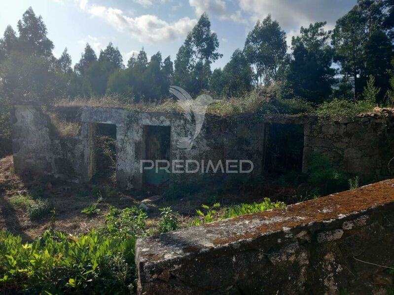 House/Villa Cossourado Barcelos