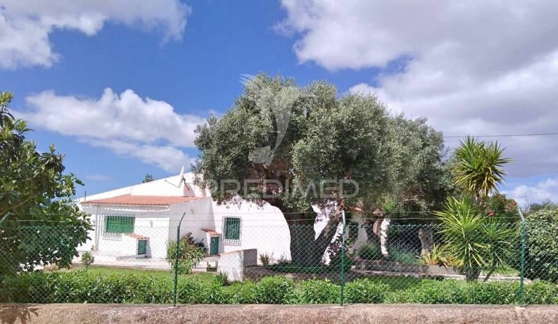 House 5 bedrooms Single storey Tunes Silves - barbecue, swimming pool
