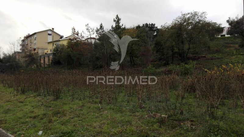 Land with 19490sqm Coimbra