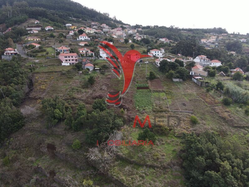 Terreno novo com 1899m2 à venda Ribeira Brava - vista mar, zona muito calma