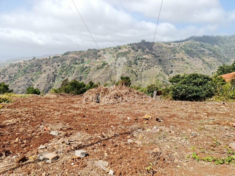 Terreno novo com 1899m2 Ribeira Brava - água, vista mar, electricidade