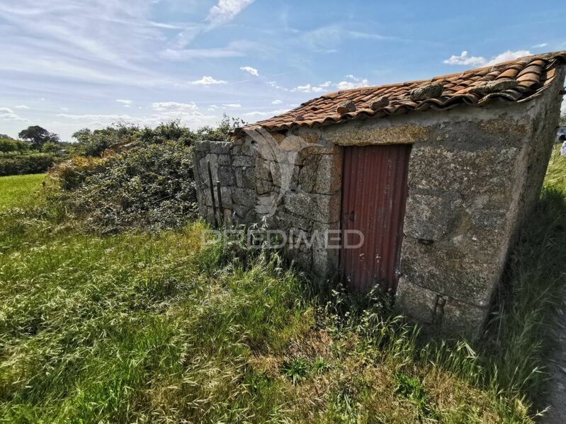 Land Rustic with 5000sqm Lardosa Castelo Branco - well