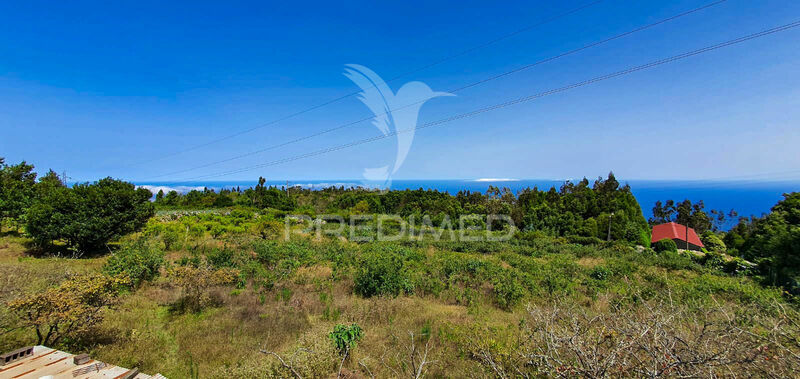 Terreno com 5900m2 Santo António da Serra Santa Cruz - água, zona sossegada, tanque