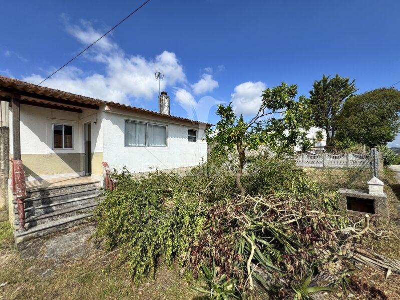 House V3 Rustic Arrabal Leiria - backyard