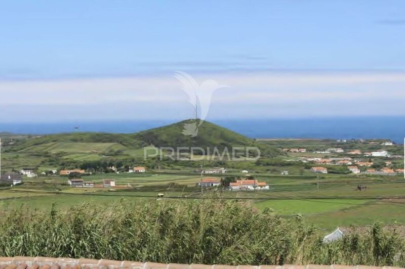 House 2 bedrooms Guadalupe Santa Cruz da Graciosa - barbecue, garden, balcony