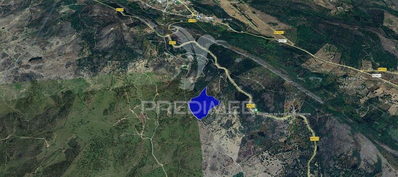 Land with 100500sqm Portalegre - cork oaks