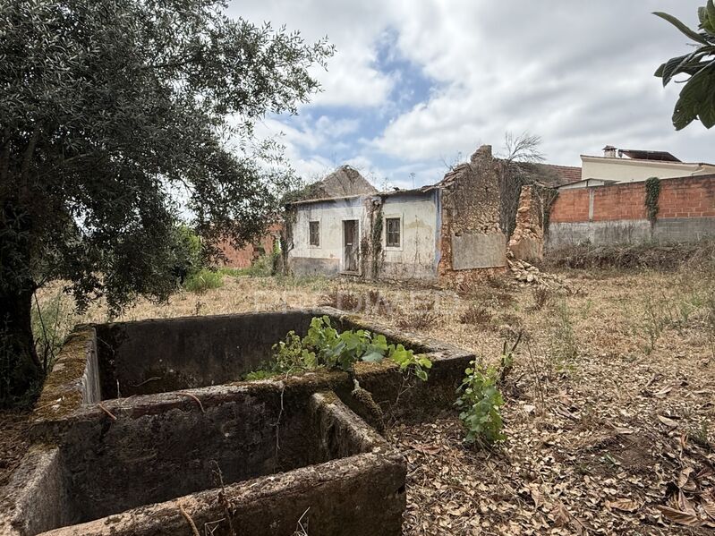 Ruine V3 Nossa Senhora da Piedade Ourém