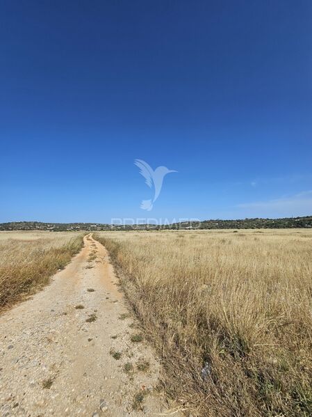 Terreno Rústico com 8980m2 Silves - cultura arvense, poço