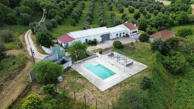 Farm 7 bedrooms Santarém - solar panels, electricity, swimming pool, orange trees, water hole, water, solar panels, olive trees, garage