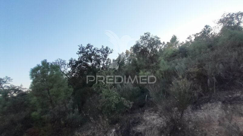 Land with 1320sqm Sarzedas Castelo Branco