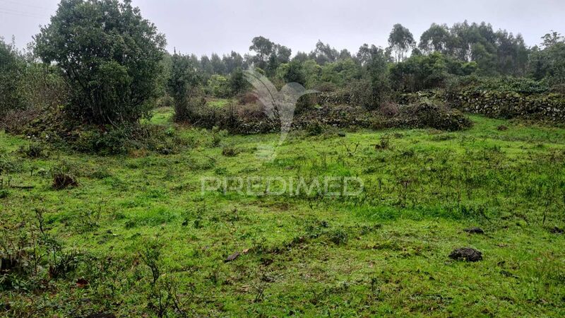 Land with 290sqm São Mateus Angra do Heroísmo