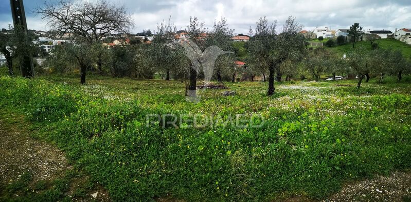 Terreno Rústico com 1800m2 Leiria