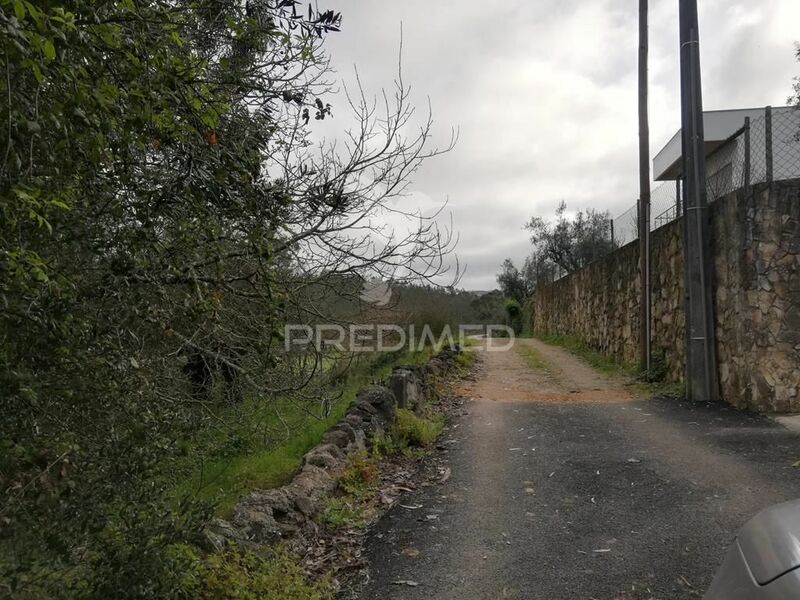 Lote de terreno com 3327m2 Bem da Fé Condeixa-a-Nova