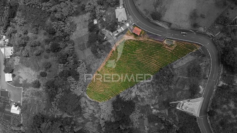 Land with 3560sqm Santana - , ,