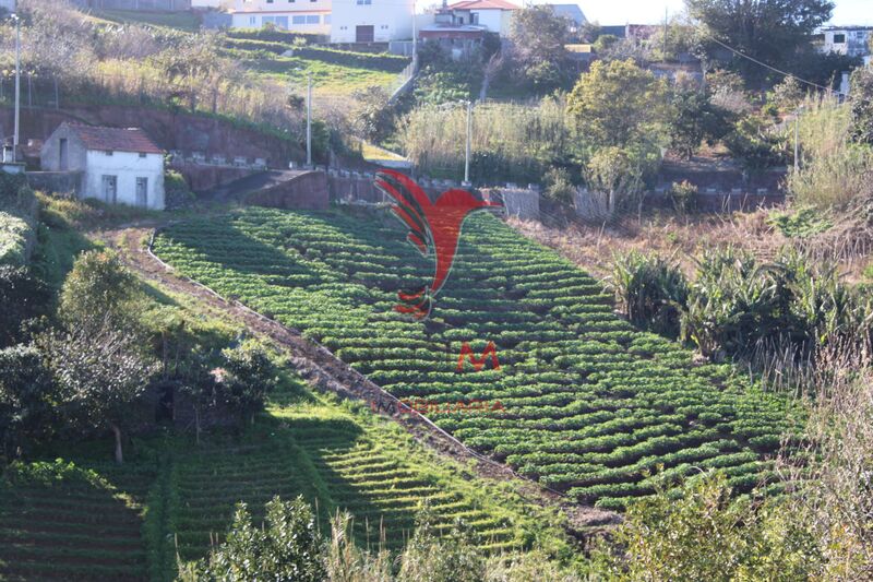 Terreno Agrícola com 3560m2 para venda Santana - vista mar