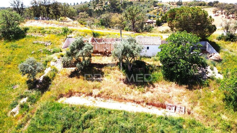 Farm 2 bedrooms to recover Relíquias Odemira - electricity, fruit trees, well, water