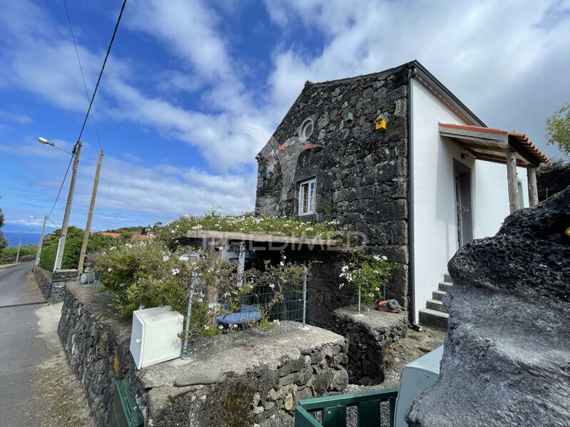 House V3 Santo António São Roque do Pico - garden, equipped