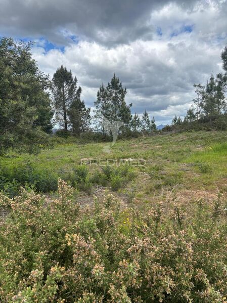 Lote novo com 500m2 Fridão Amarante