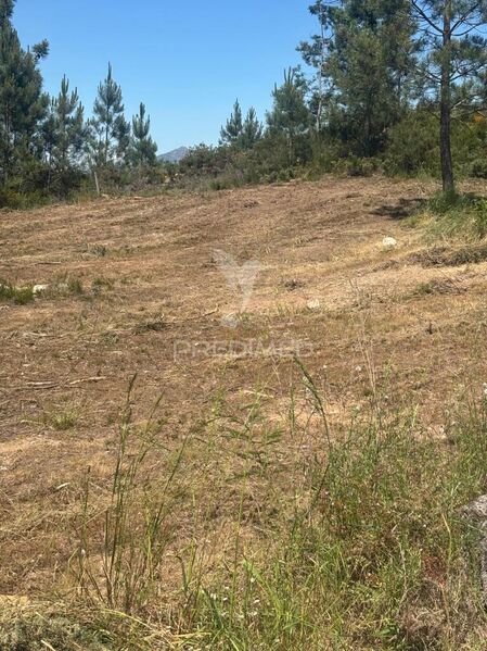 Plot of land nouvel with 500sqm Fridão Amarante