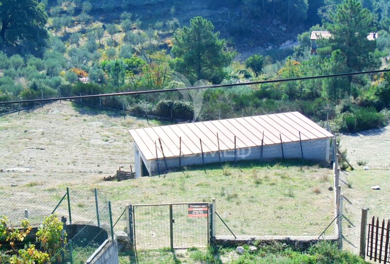 Terreno Agrícola com 3750m2 Torgueda Vila Real - poço, electricidade, excelentes acessos, água
