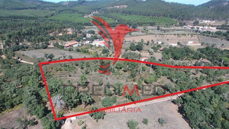 Land Rustic with 17750sqm São Luís Odemira - water, electricity