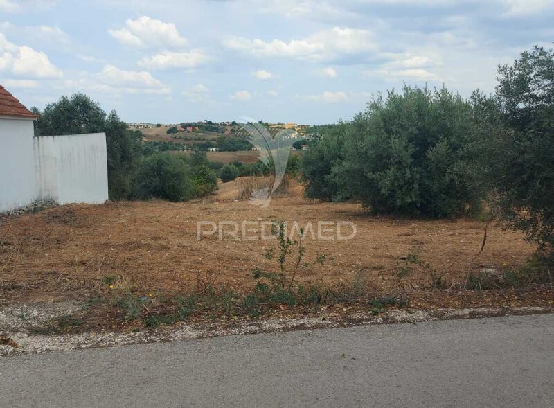 Terreno Urbano com 13160m2 Abitureiras Santarém - bons acessos, oliveiras