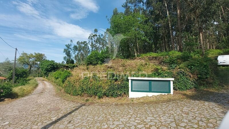 Land with 3550.60sqm Telões Amarante - water