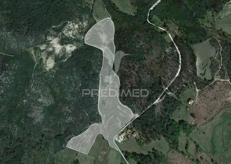 Land with 98600sqm Cavez Cabeceiras de Basto