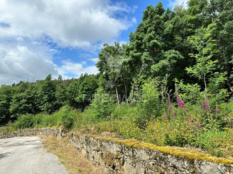 Land Agricultural with 98600sqm Cavez Cabeceiras de Basto