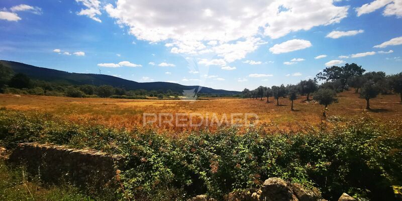 Terreno Agrícola com 39250m2 Portalegre - garagem