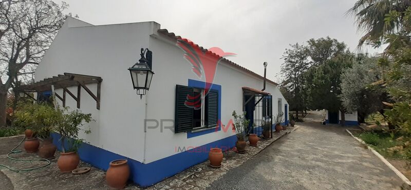 House 3 bedrooms Alvito - tiled stove, plenty of natural light, attic, barbecue, garden, swimming pool