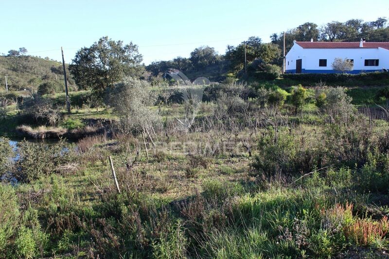 Terreno Rústico com 3960m2 São Bartolomeu de Messines Silves