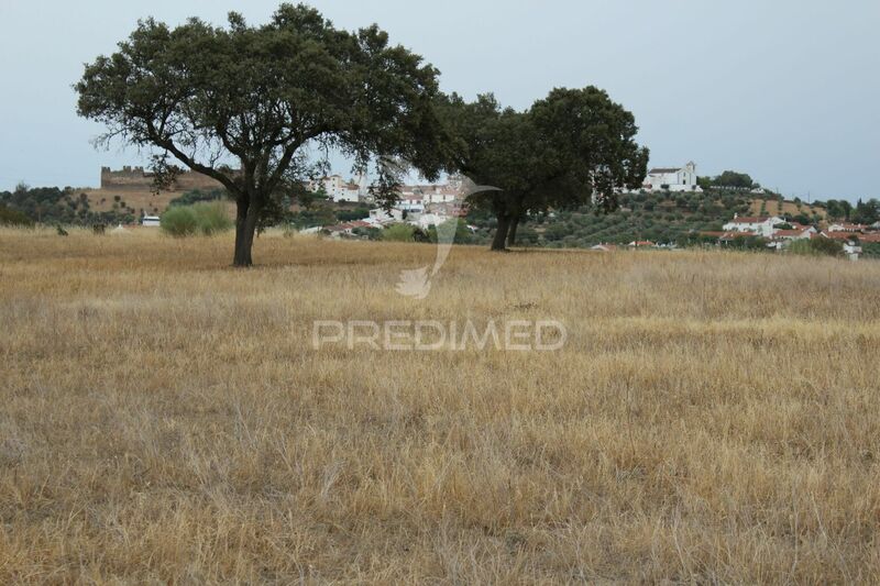 Land Agricultural with 20000sqm São Pedro Terena Alandroal - excellent access, solar panels