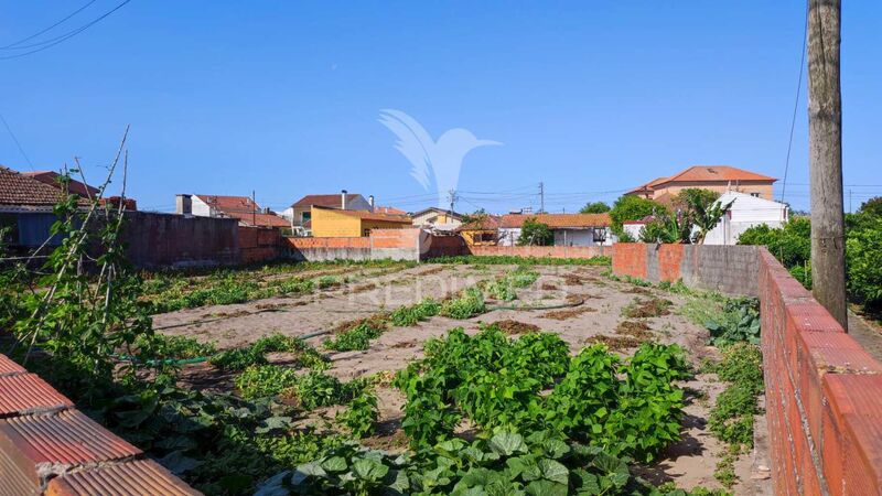 Land with 793sqm Gafanha da Nazaré Ílhavo - easy access