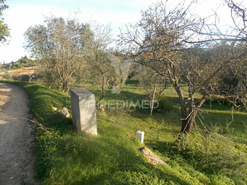 Terreno Rústico com 4260m2 Porches Lagoa (Algarve) - água