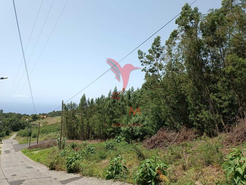 Land nouvel with 3527sqm Santa Cruz