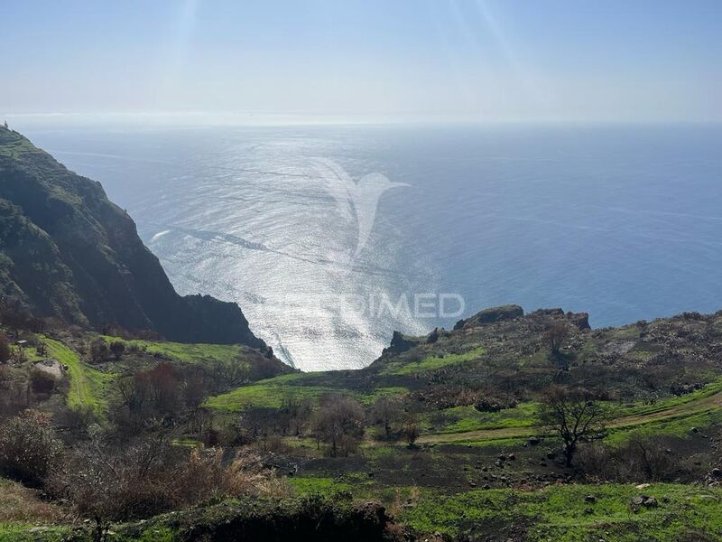 Terreno plano Fajã da Ovelha Calheta (Madeira)
