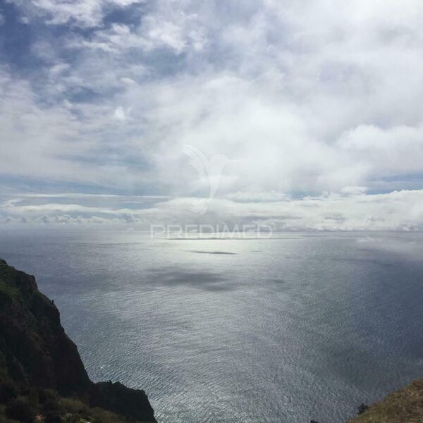 Terreno plano Fajã da Ovelha Calheta (Madeira)