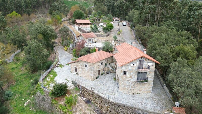 Farm Fervença Celorico de Basto - swimming pool, electricity