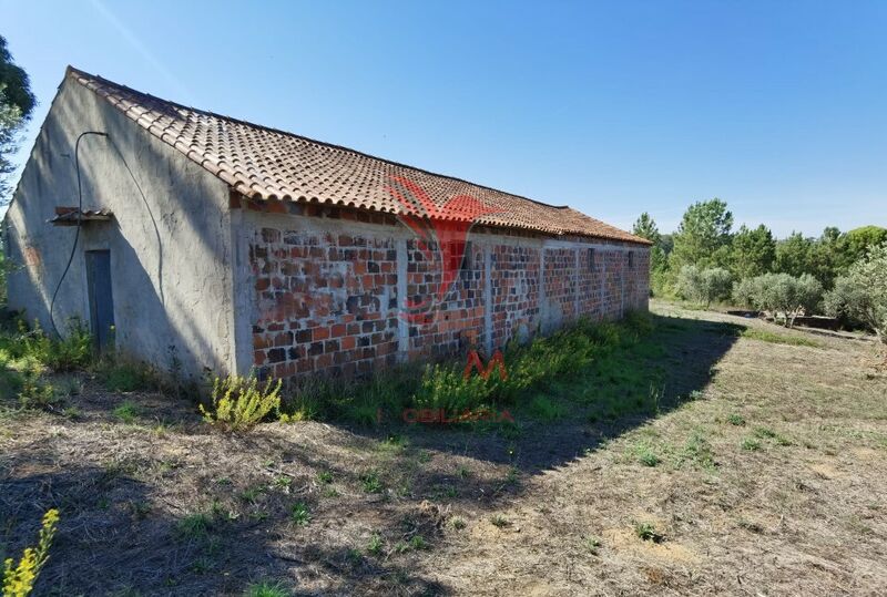 Warehouse with 256.78sqm Alcanena