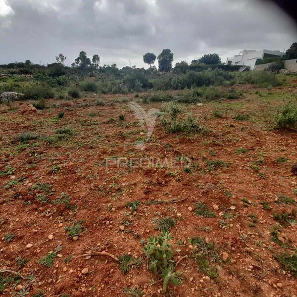 Terreno Rústico com 20240m2 Quelfes Olhão