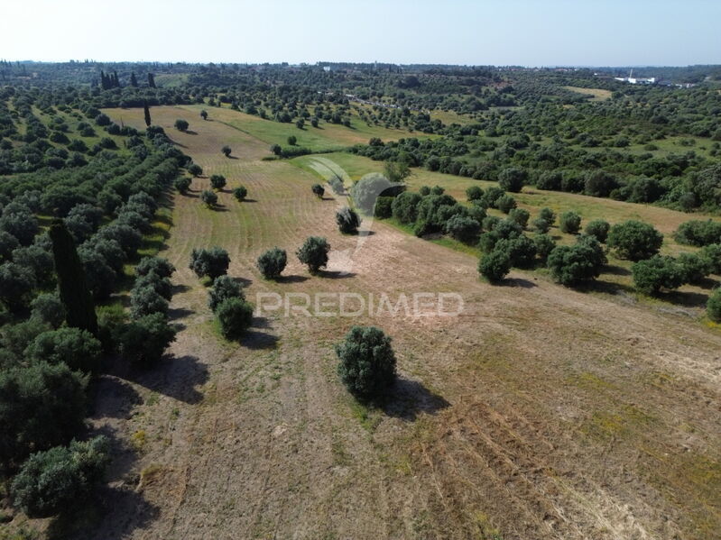 земля загородный c 15640m2 Torres Novas
