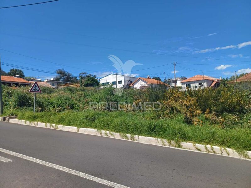 Land for construction Camacha Santa Cruz